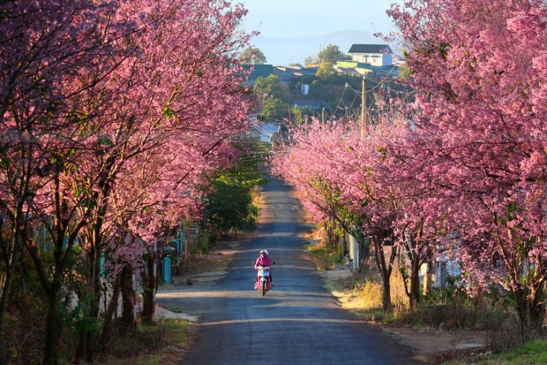 Tour TP.HCM - Đà Lạt ( 3 ngày 3 đêm ) - Hara Travel